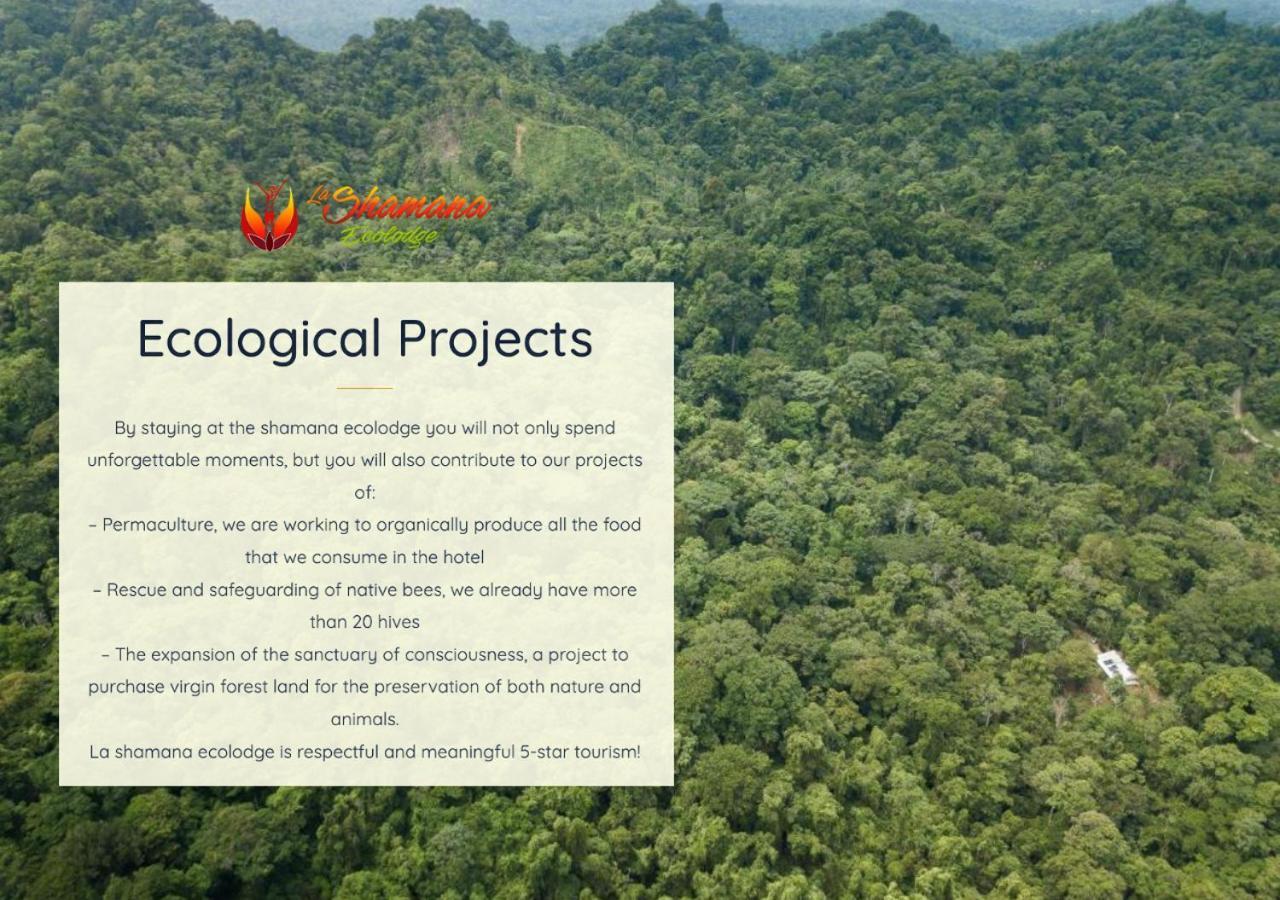 卡维塔La Shamana - Ecological Concept In Jungle别墅 外观 照片