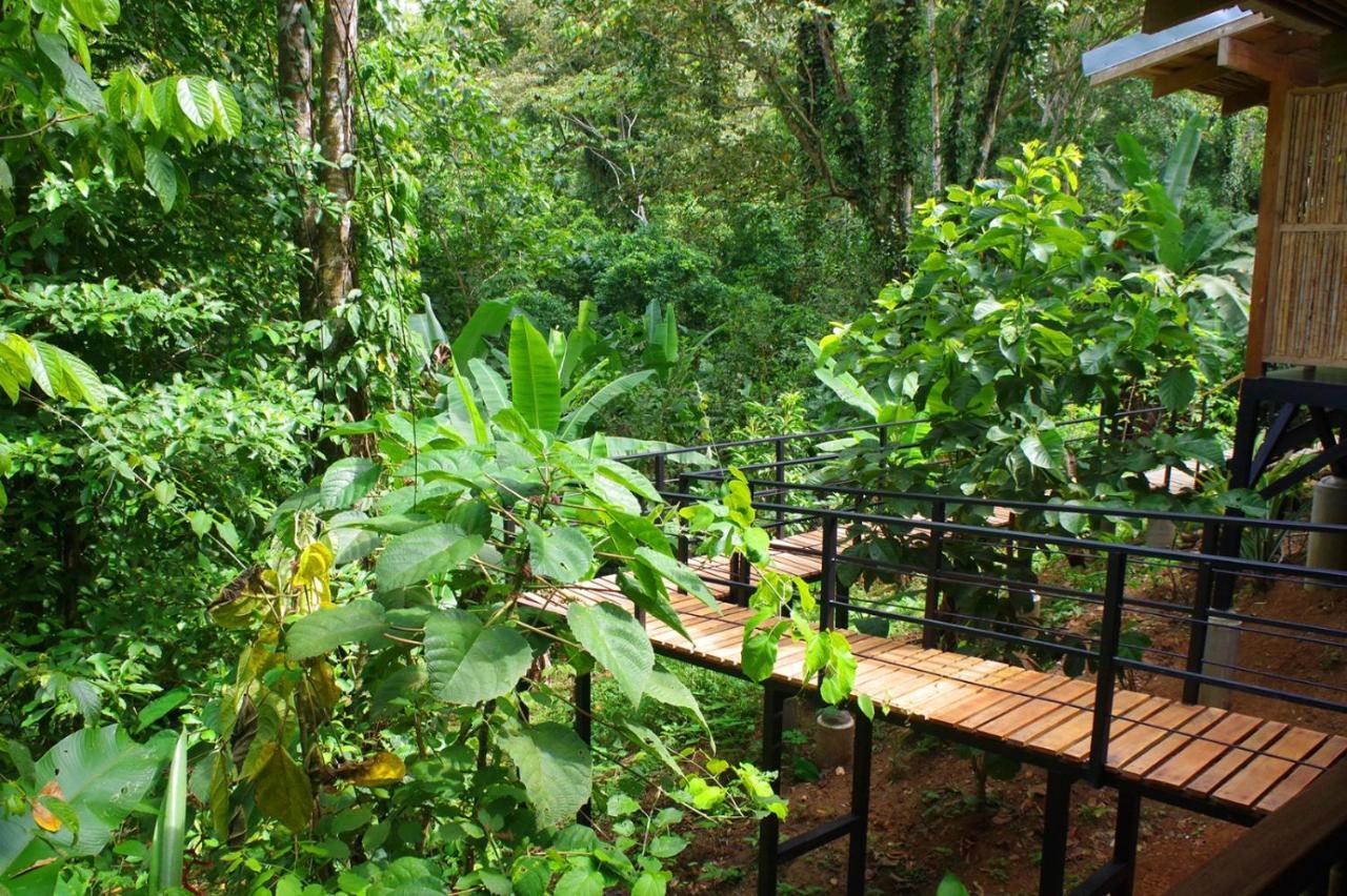 卡维塔La Shamana - Ecological Concept In Jungle别墅 外观 照片
