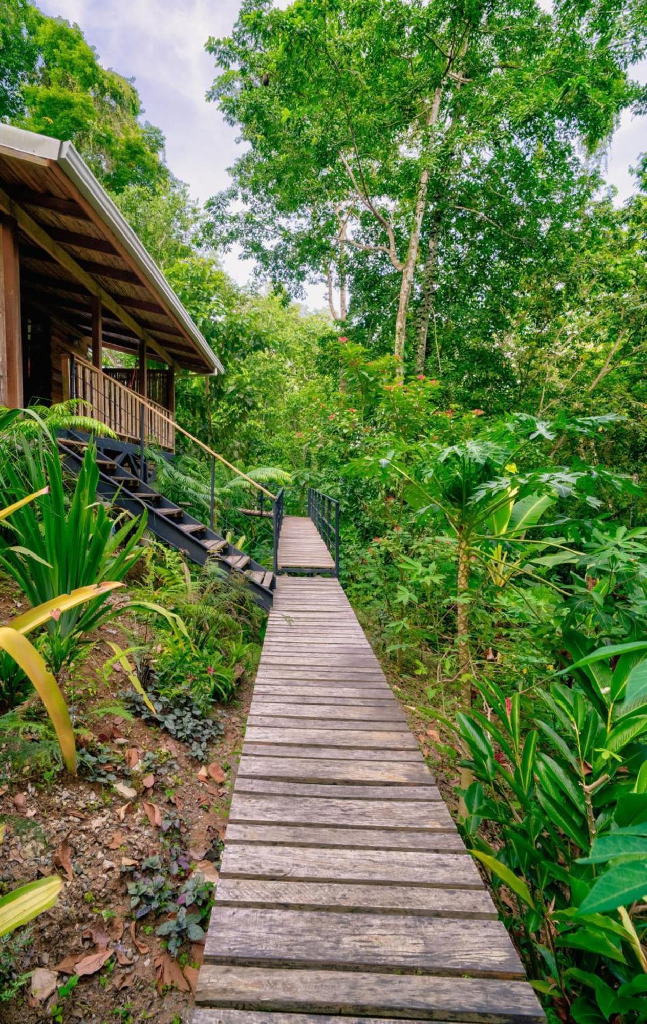 卡维塔La Shamana - Ecological Concept In Jungle别墅 外观 照片