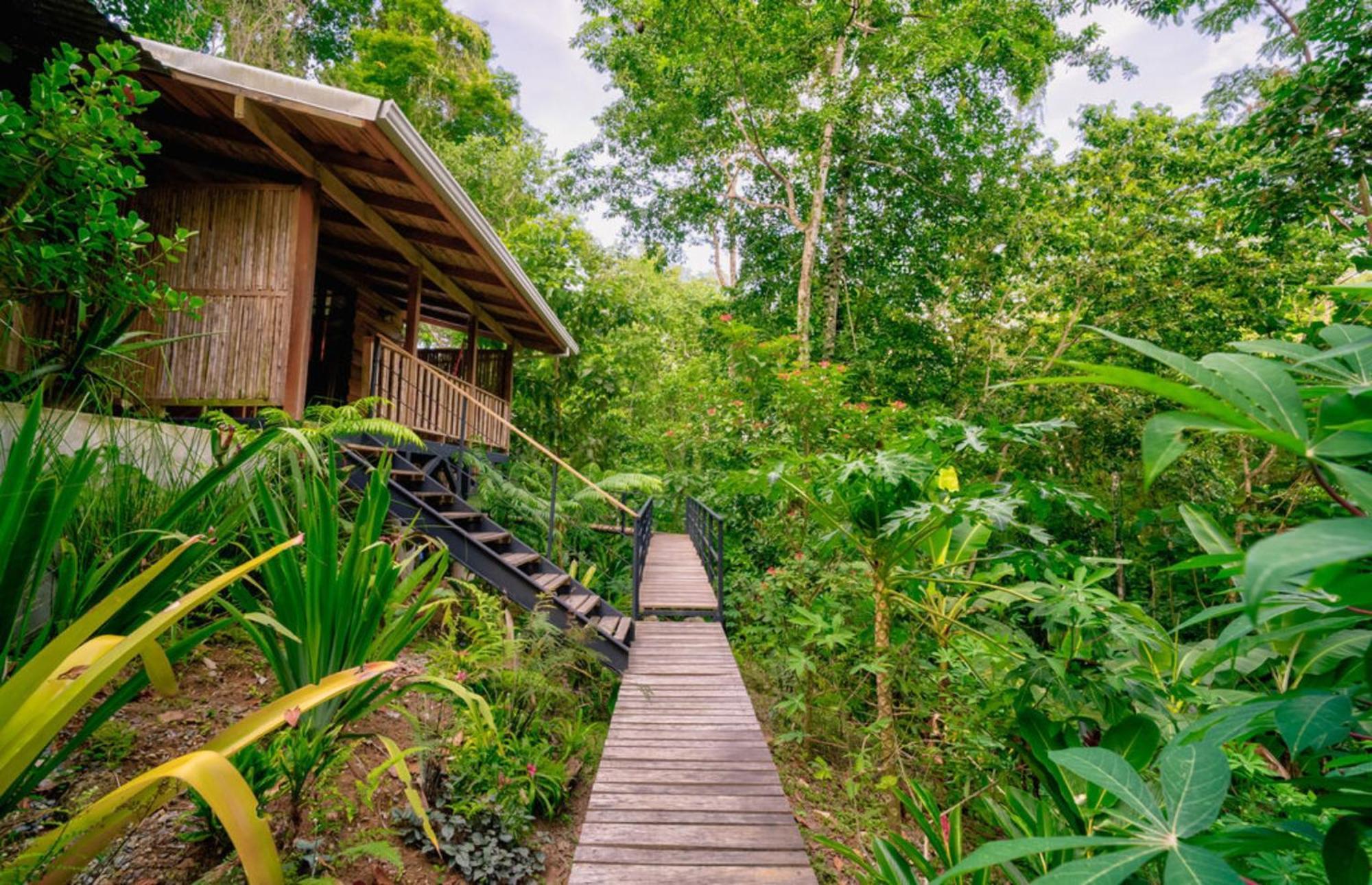 卡维塔La Shamana - Ecological Concept In Jungle别墅 客房 照片
